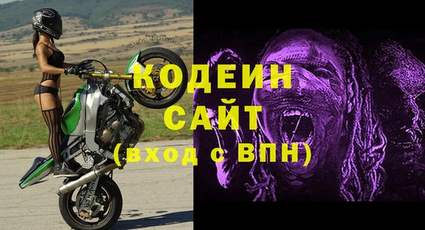 эйфоретик Вяземский