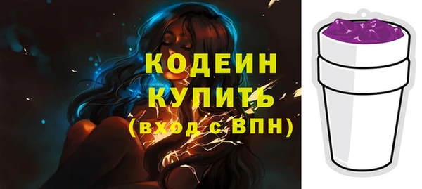 эйфоретик Вяземский