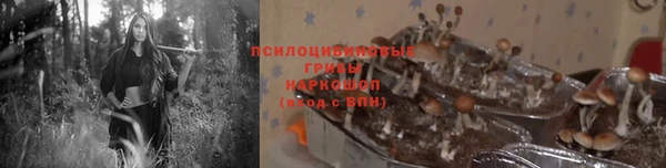 гидропоника Вязьма