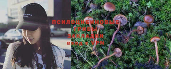 эйфоретик Вяземский