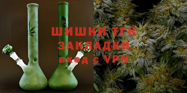 эйфоретик Вяземский