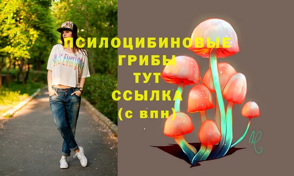 гидропоника Вязьма