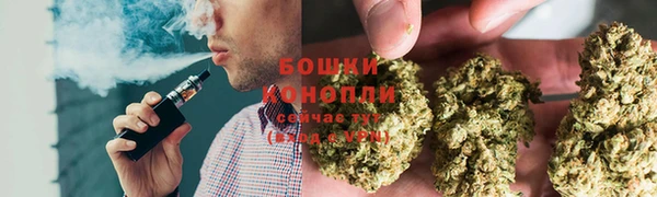 гидропоника Вязьма